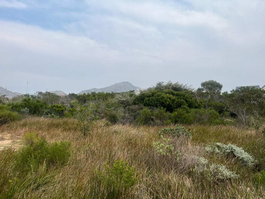 0 Bedroom Property for Sale in Pringle Bay Western Cape